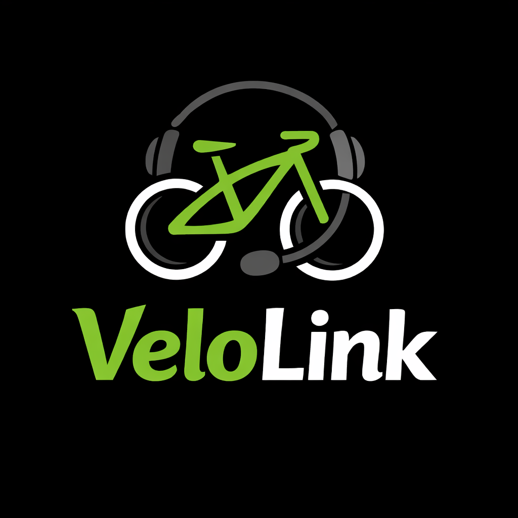VeloLink Logo
